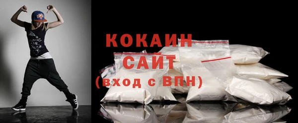 apvp Няндома