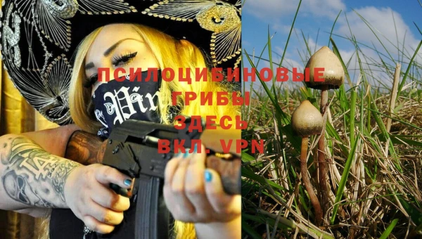 apvp Няндома