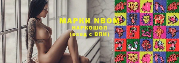 apvp Няндома