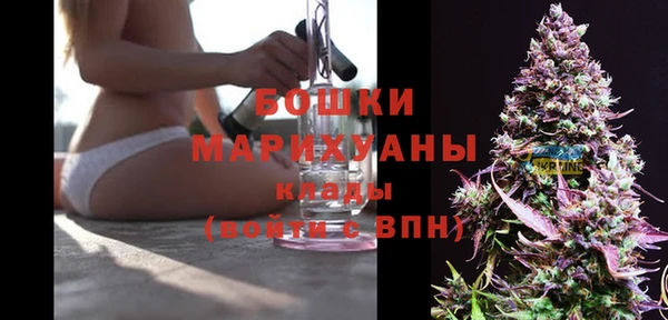 apvp Няндома